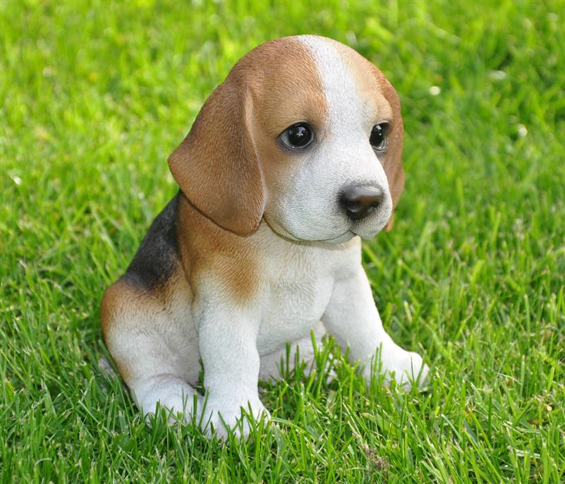 Dekofigur Gartenfigur Beagle Welpe